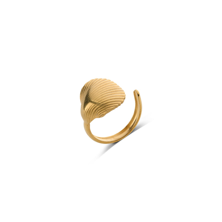 Ane -  Seashell Open Ring Stainless Steel