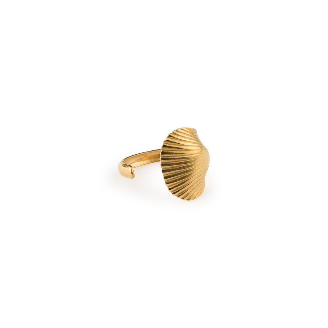 Ane -  Seashell Open Ring Stainless Steel