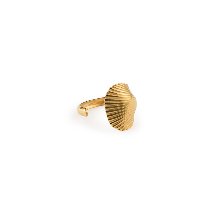 Ane -  Seashell Open Ring Stainless Steel