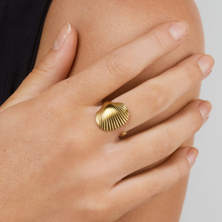 Ane -  Seashell Open Ring Stainless Steel