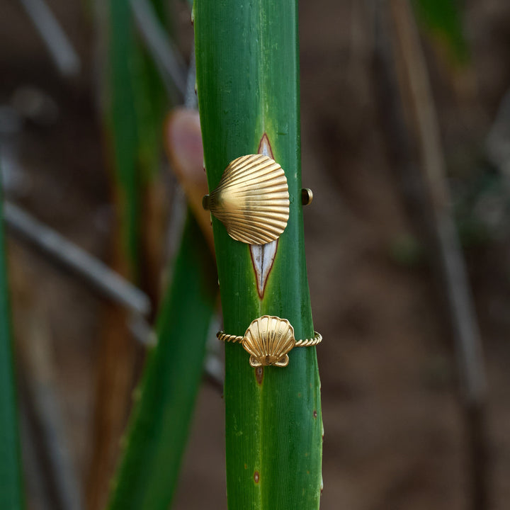 Ane -  Seashell Open Ring Stainless Steel
