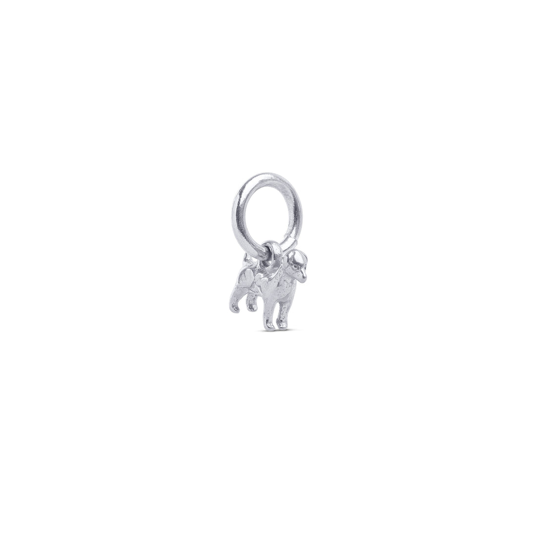 Roya - Charm pour chien en acier inoxydable