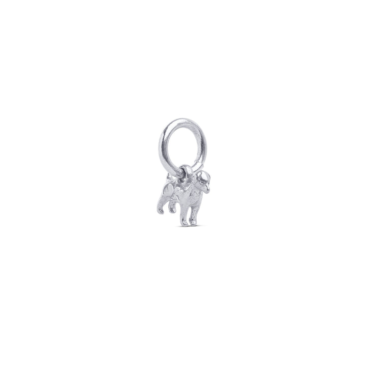 Roya - Charm pour chien en acier inoxydable
