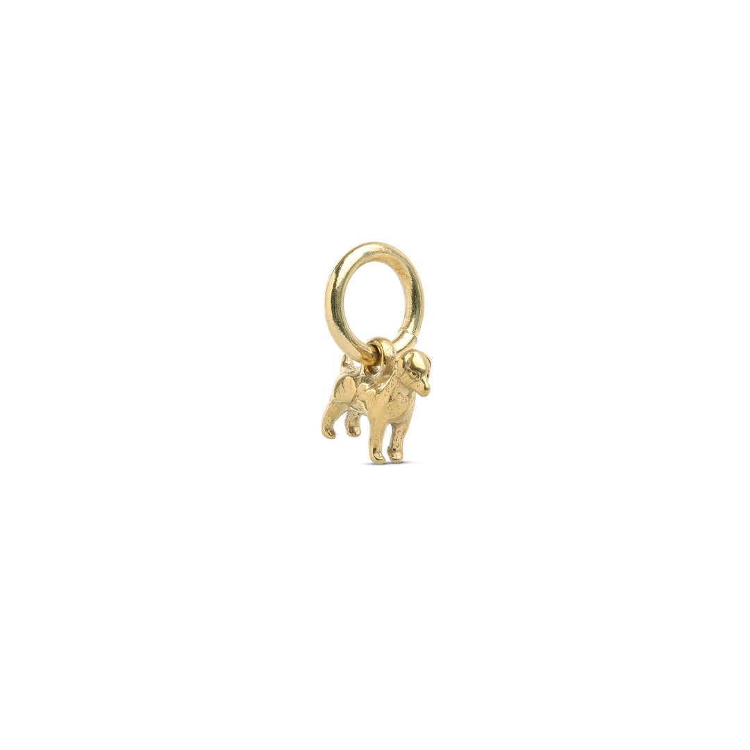 Roya - Charm pour chien en acier inoxydable