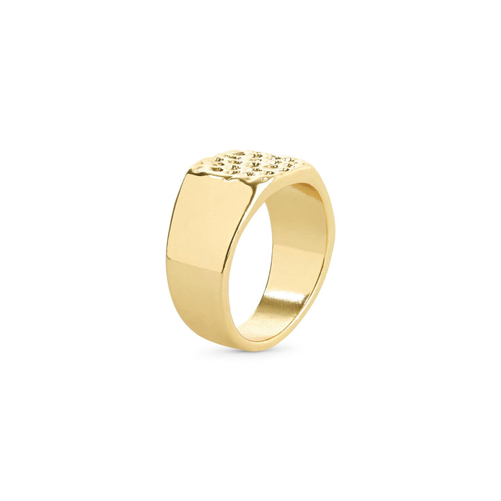 Blythe – signet ring in stainless steel, gold | Timi of Sweden