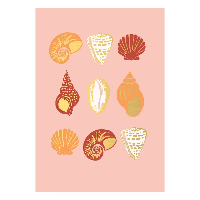 Sea Shells Greeting Card